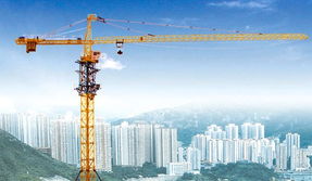重慶市萬州區(qū)騰迅建筑設備租賃 專業(yè)塔吊租賃服務，助力萬州城市建設